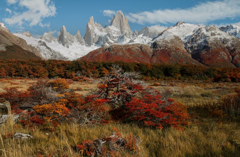 fitz roy patagonia Autumn in Fitz Roy фото превью