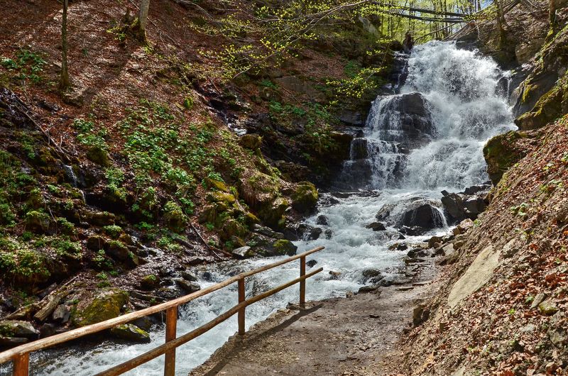закарпатье, горный массив боржава, апрель, весна, многоцветье Весна в Закарпатье фото превью
