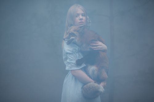 В дремучем лесу