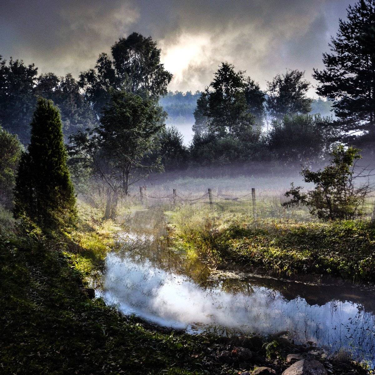 утро, туман, природа, Rimantas Petrikas