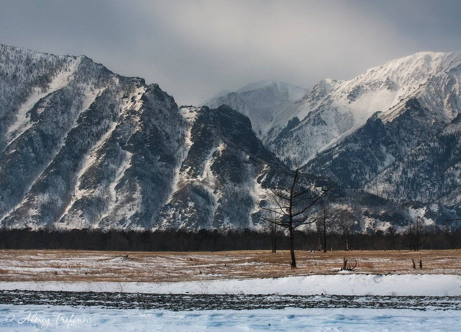 байкал, Алексей Трофимов