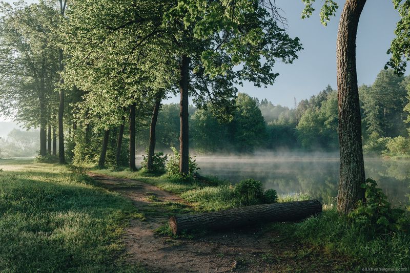 Середниково, Рассвет, Подмосковье, озеро, усадьба Лермонтова, июнь, туман Утро в Середниково фото превью