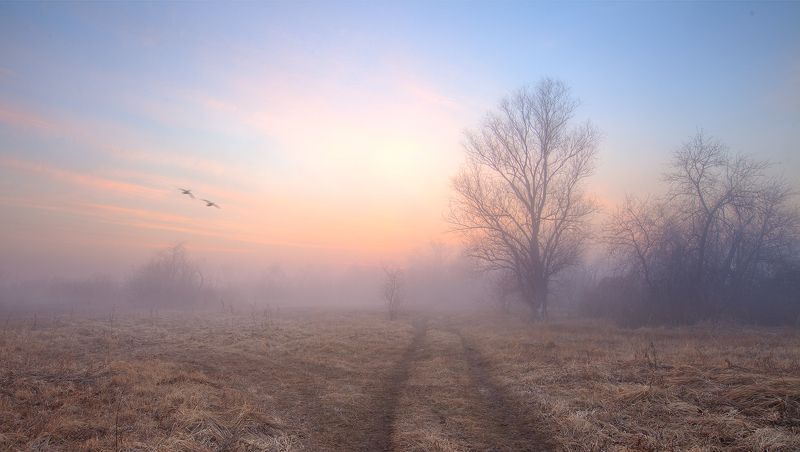 Весна фото превью