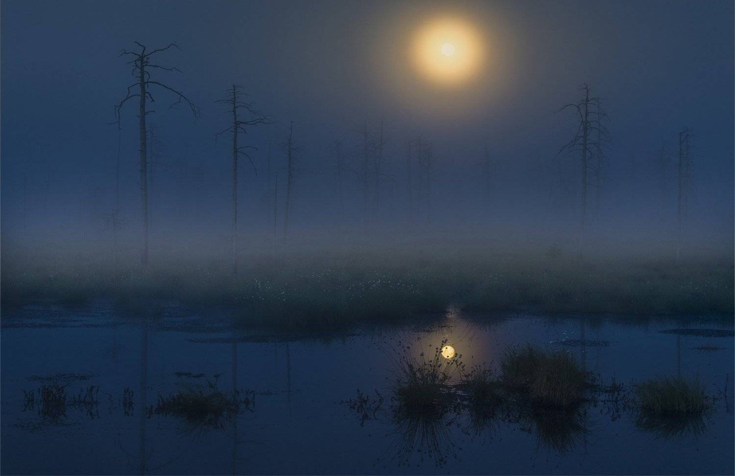 , Татьяна Борисова