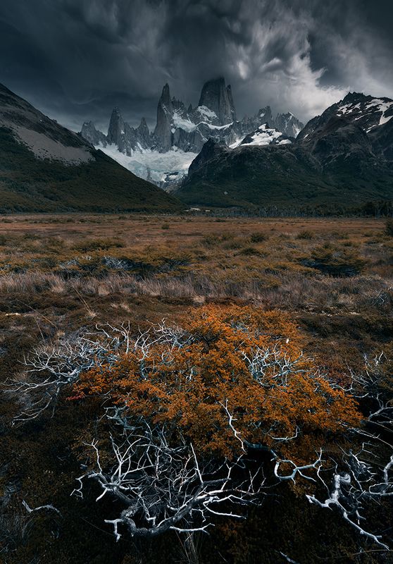 Fitz Roy