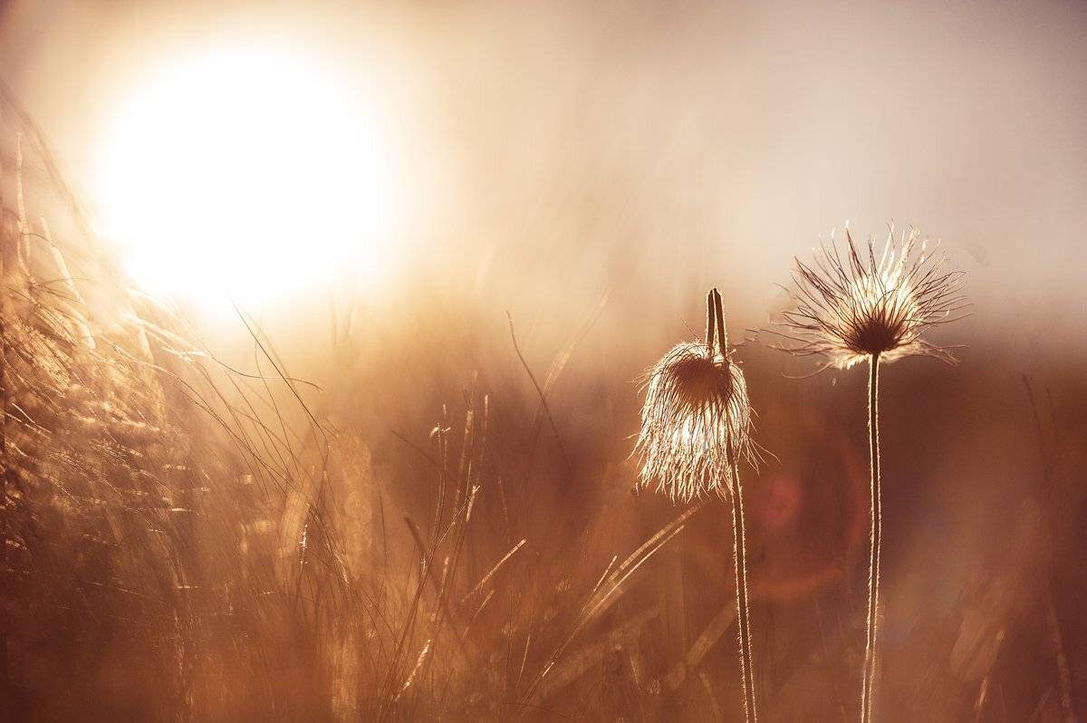 , Татьяна Аверина