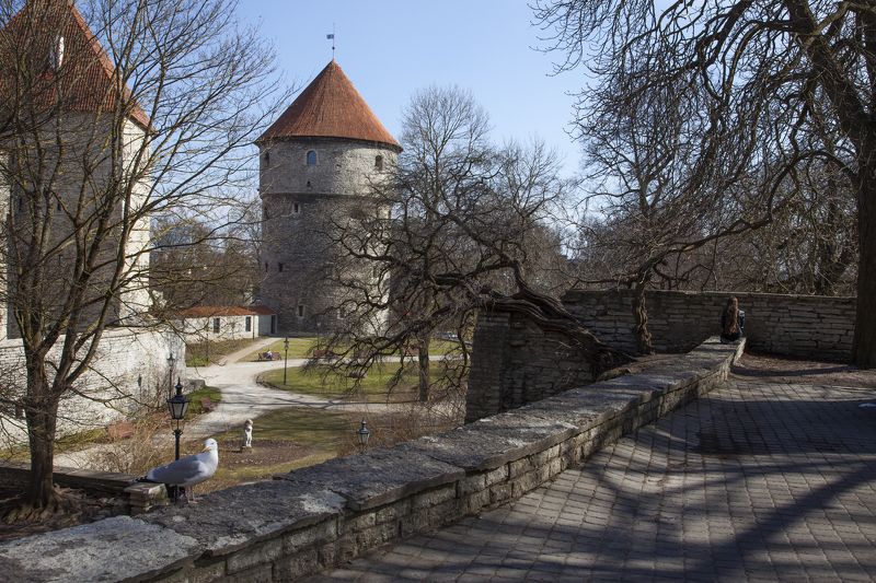 весеннее фото превью