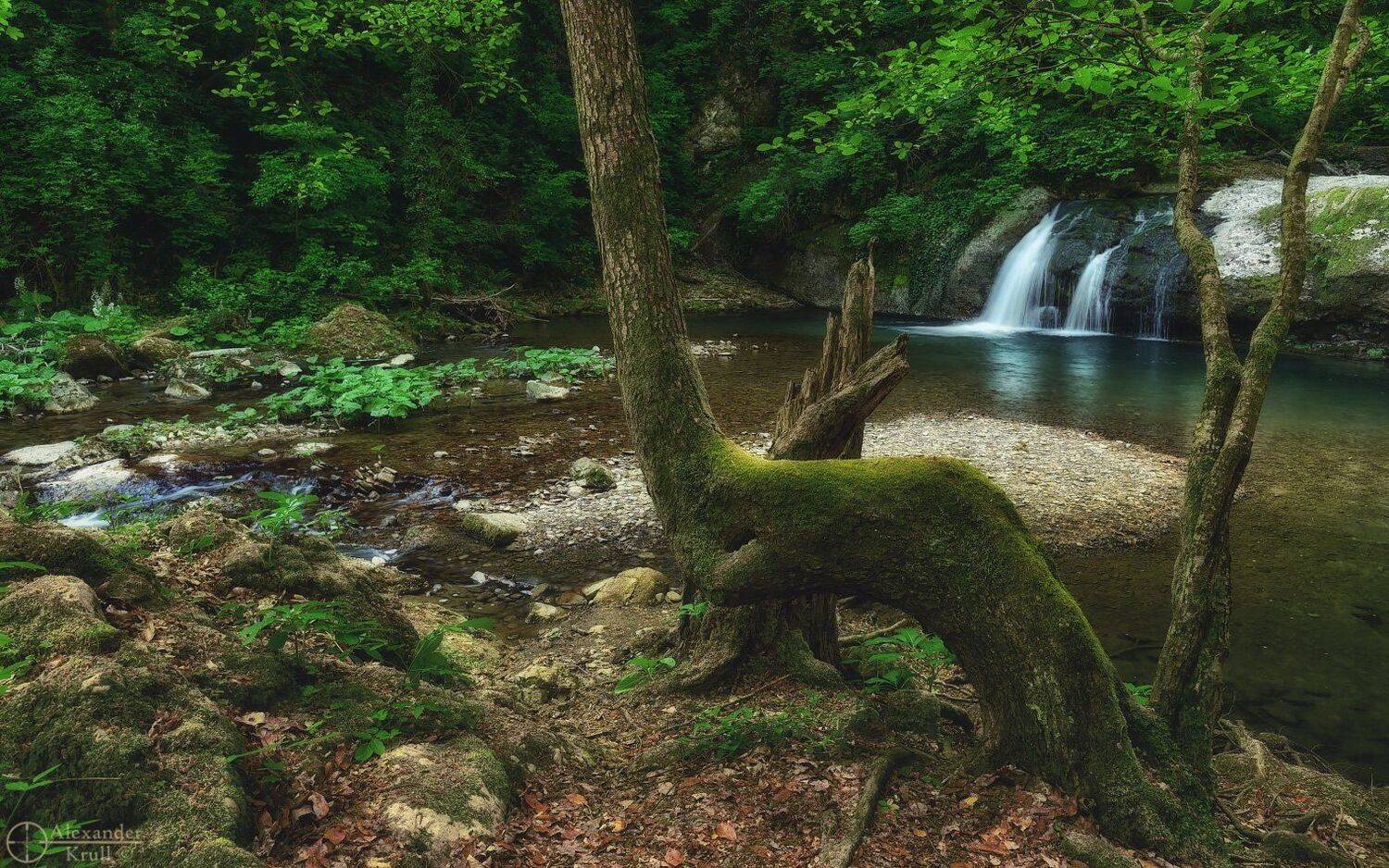 , Александр Круль