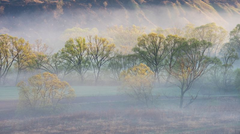 в лучах солнца фото превью