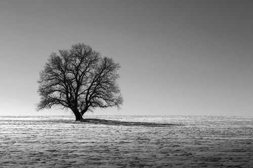 Зимнее одиночество 