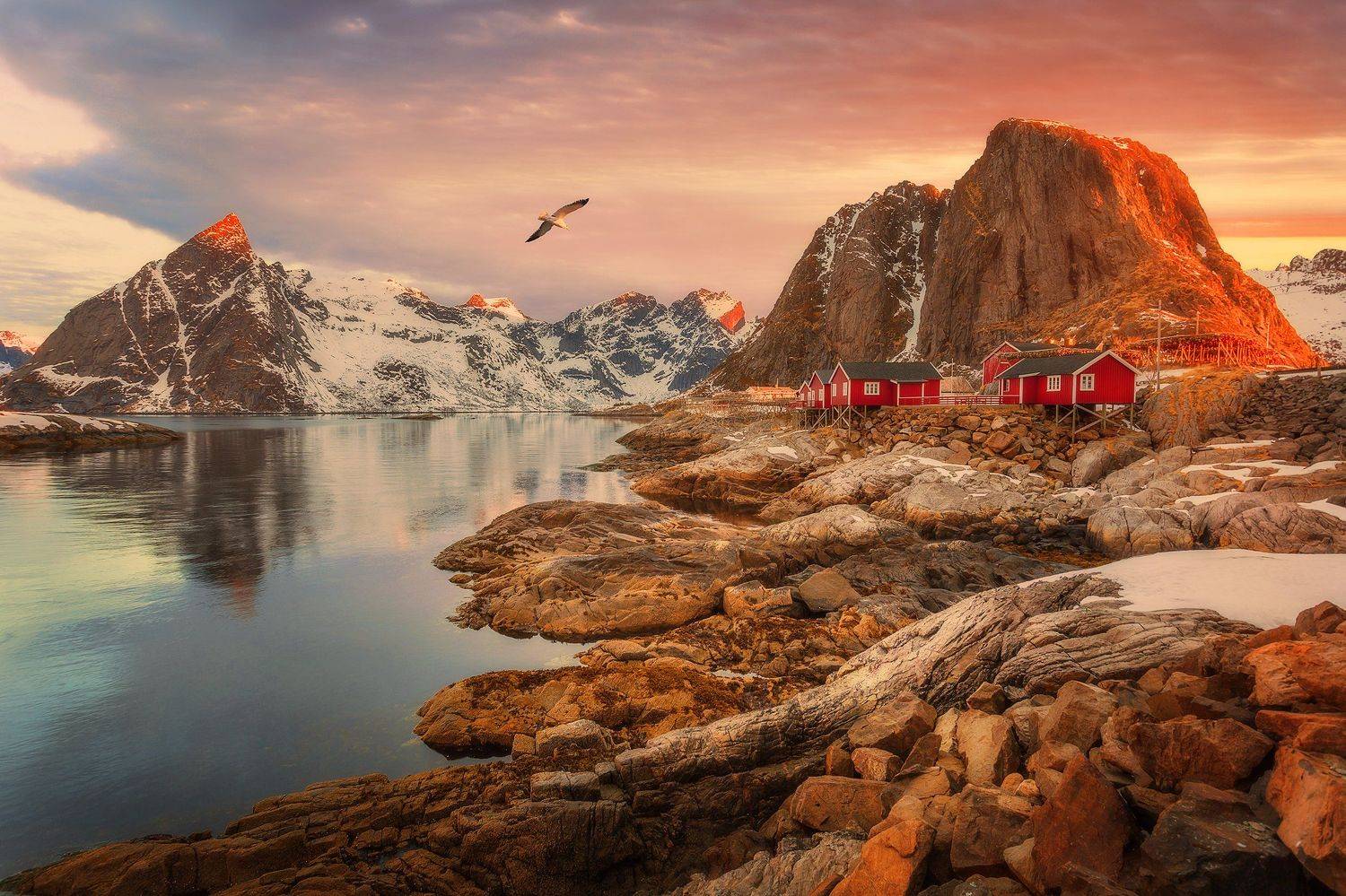 beach, Norway, Lofoten, sunset, sunrise, long exposure, mountains, sea, clouds, stones, Hamnoy, , Patrycja Towarek