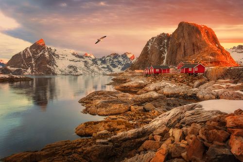 Hamnoy