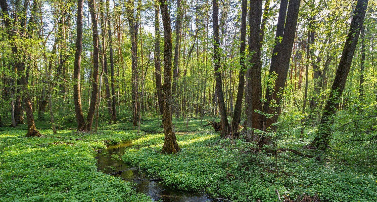 , Руслан Востриков