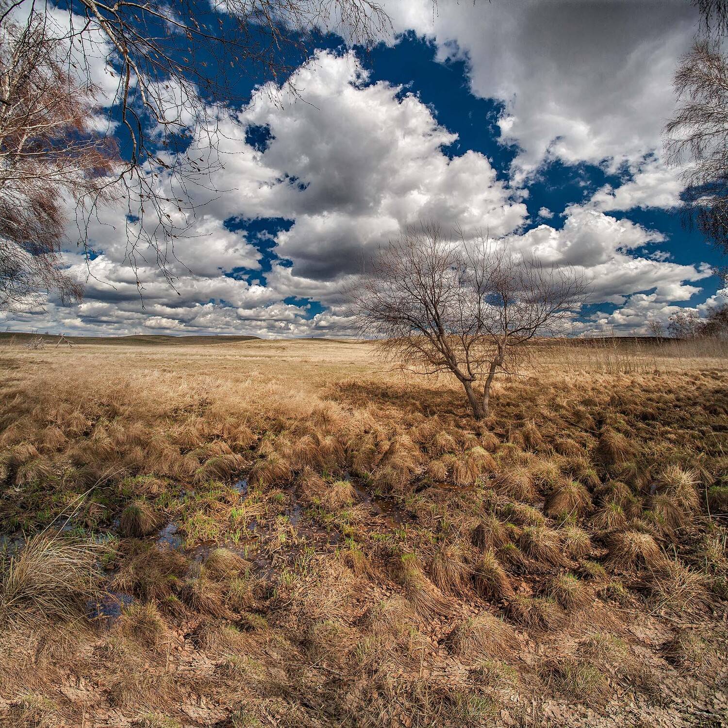 орск, весна, качурин, Качурин Алексей