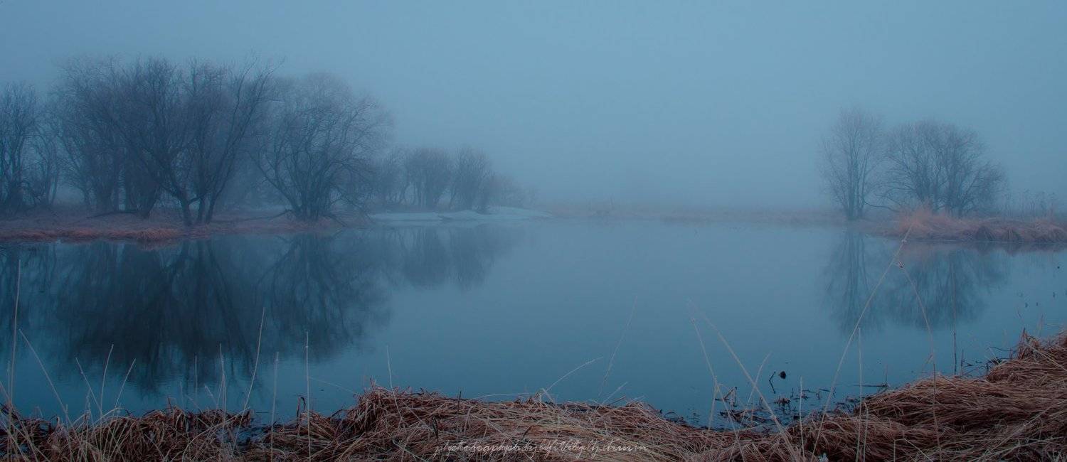 , Виталий Курин