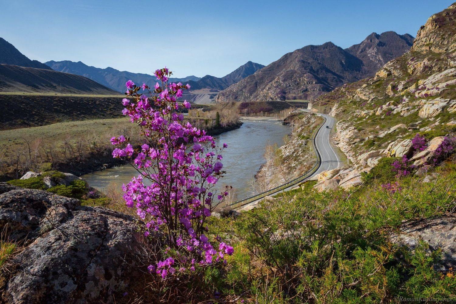 , Роман Карамышев