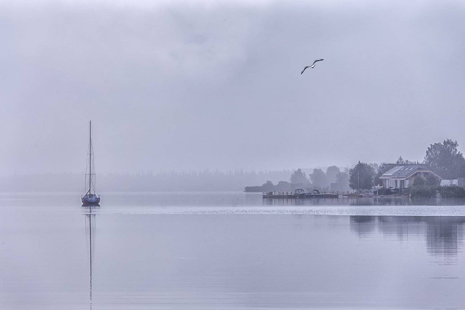 раннее,туманное,утро,озеро,яхта,берег,, Матвеев Игорь