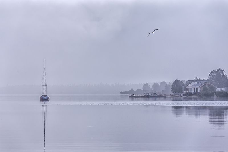 раннее,туманное,утро,озеро,яхта,берег, \