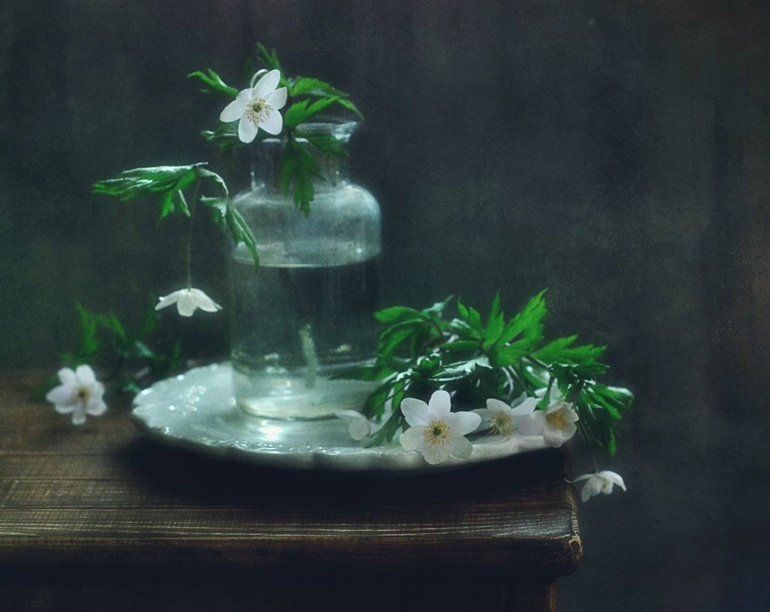 натюрморт,ветреницы,анемоны,цветы,весна, Наталия К