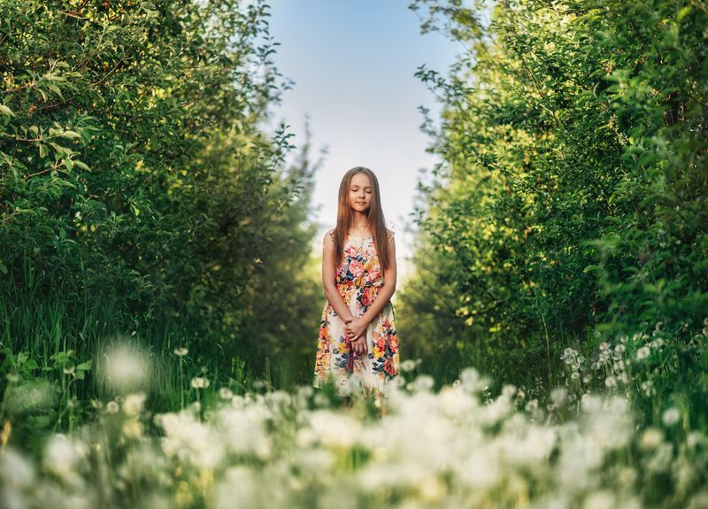 Одуванчики фото превью