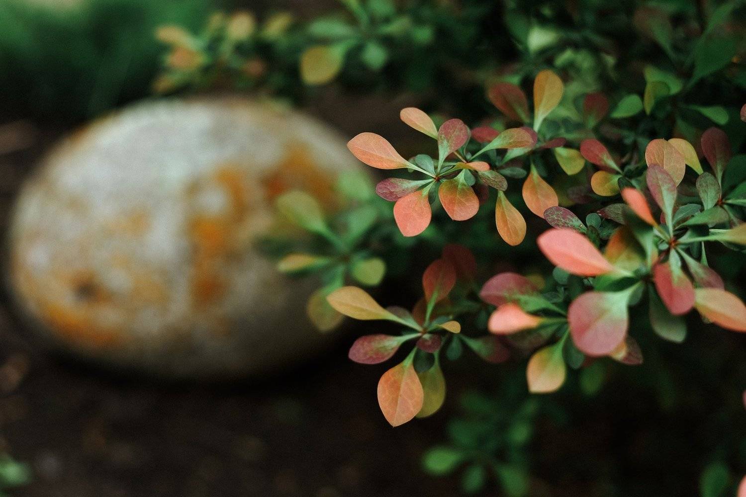 , Эдуард Перов