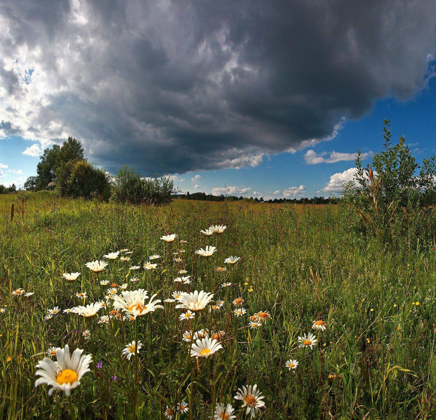 шатура, Лихарев Александр