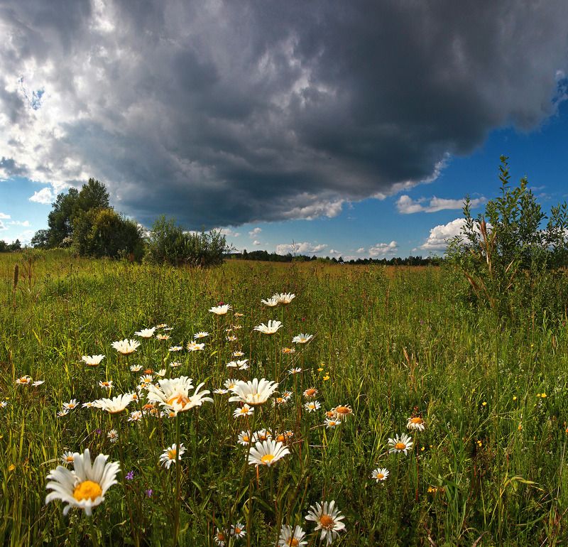 шатура Летнее настроение . фото превью