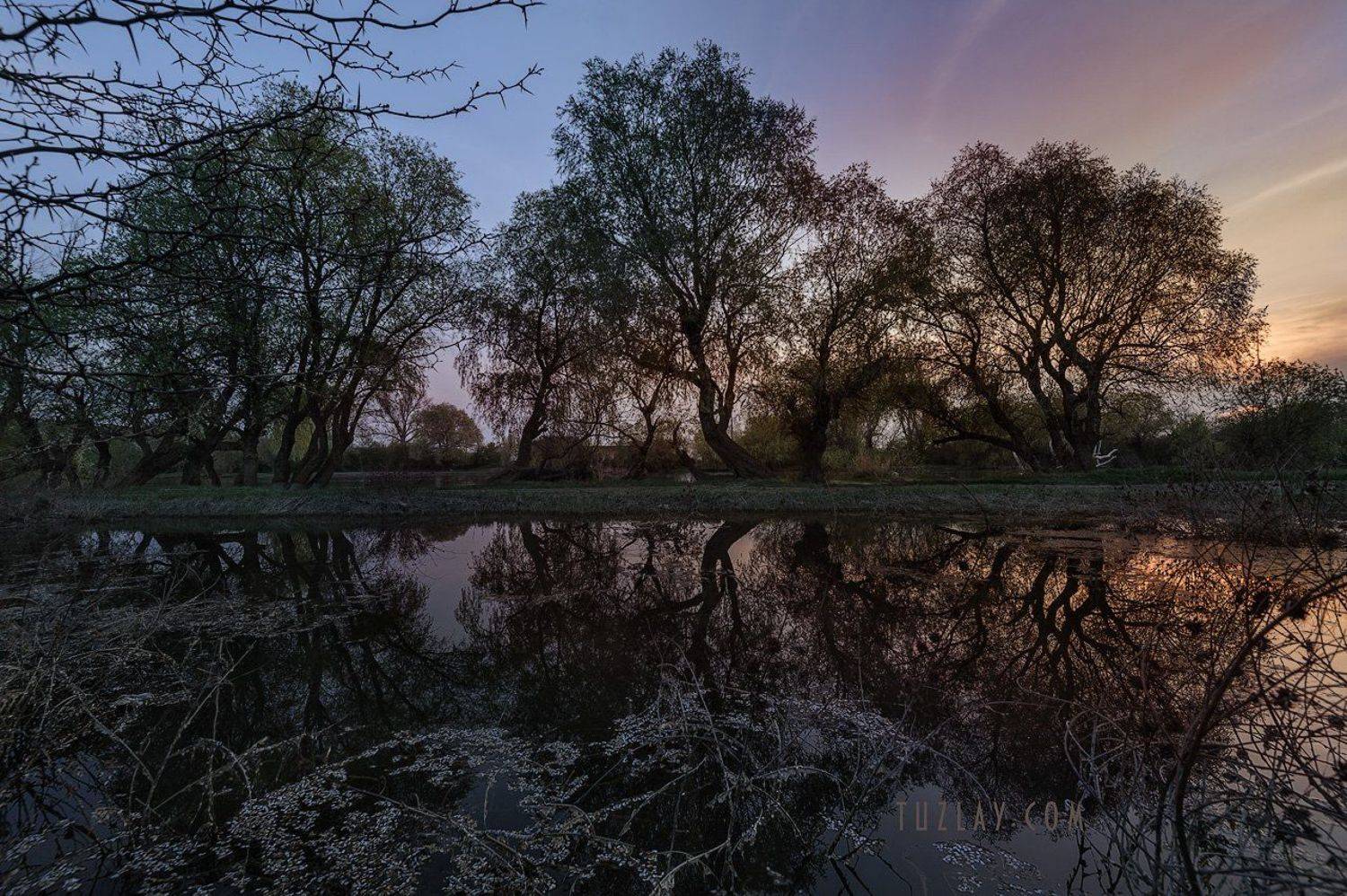 кубань, апрель, кубанские закаты, разлив, таманский полуостров, темрюк, Владимир Тузлай