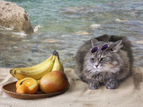 Пляжный сезон Масяни