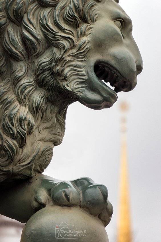 лев петербург, Дмитрий Бакулин