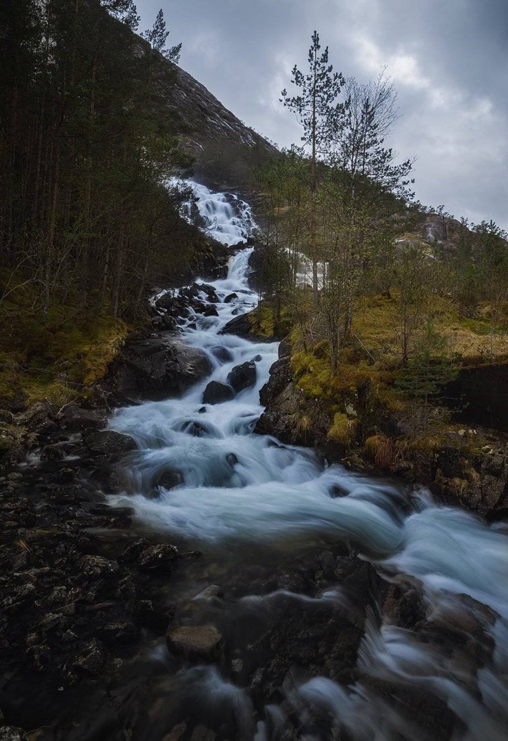 , Justinas Kondrotas