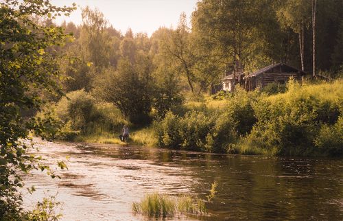 Дедушка в естественной среде обитания