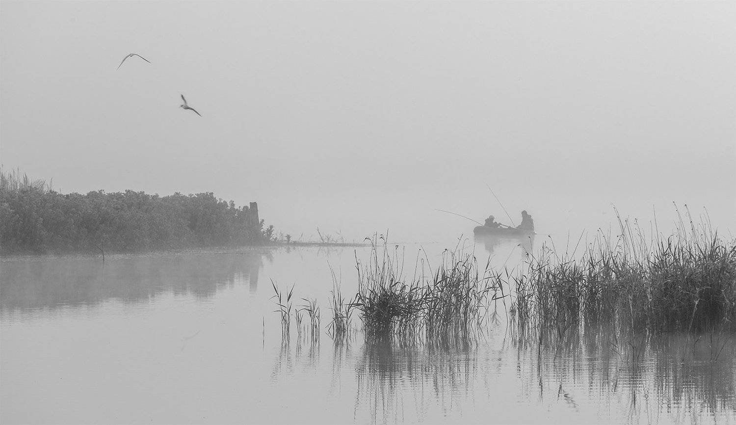 , Виктор Новокрещенов