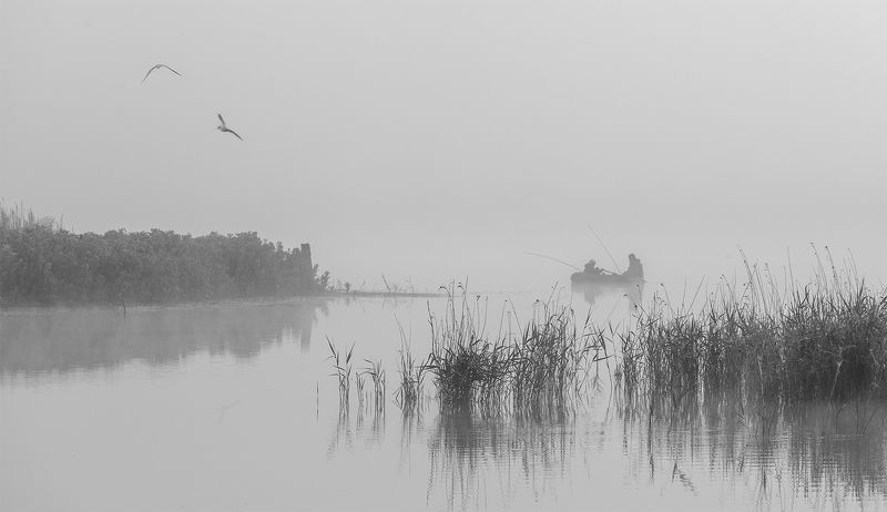 На зорьке фото превью