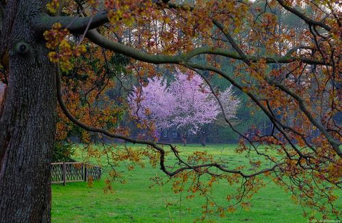 Краски весны