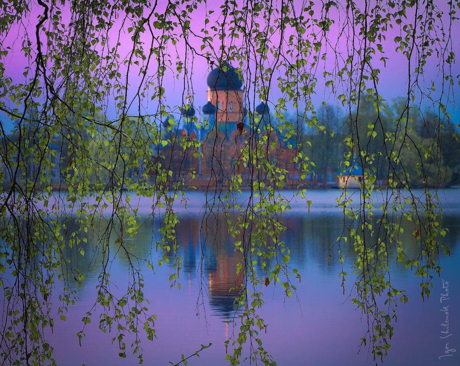 , Игорь Шиленок