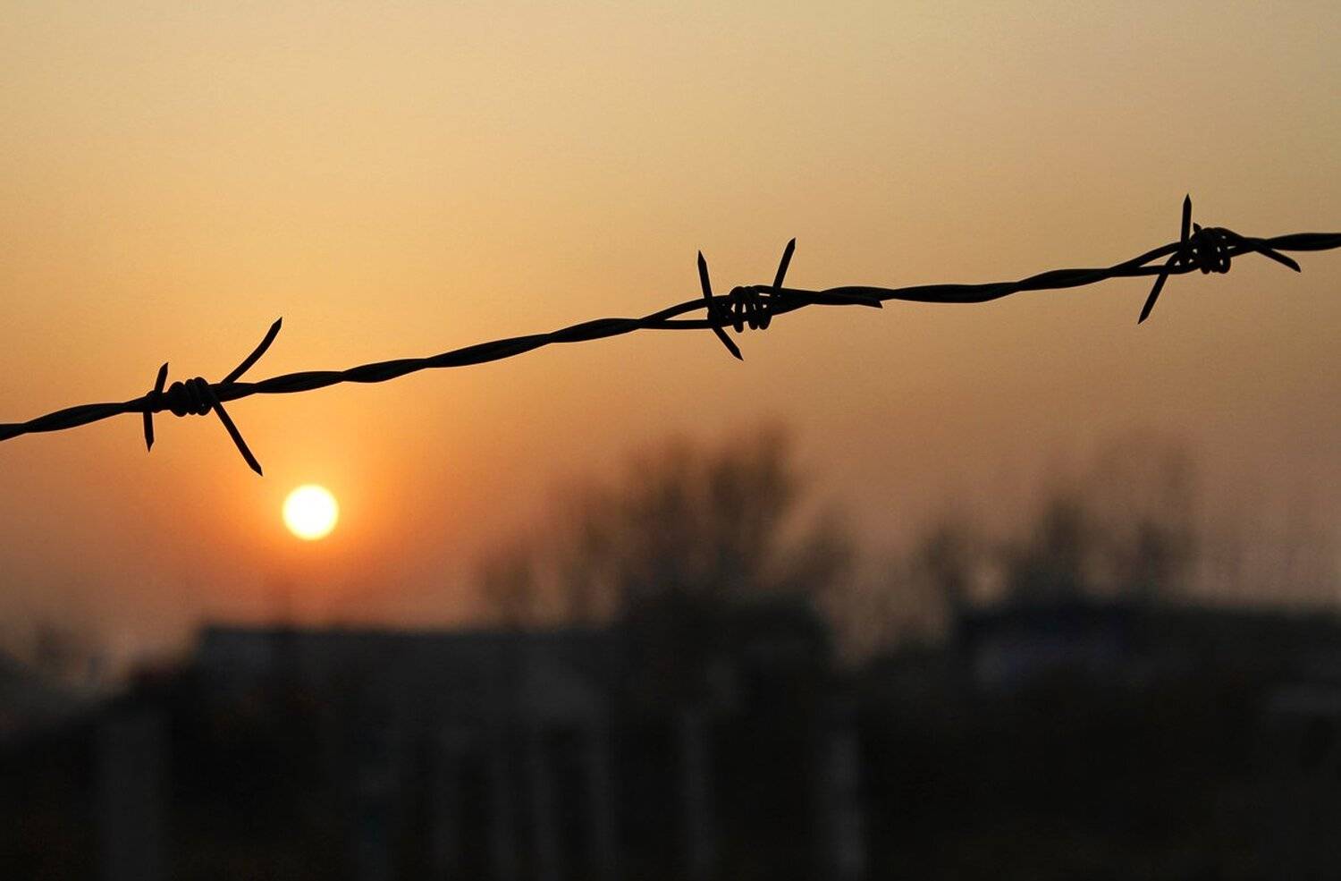 , Гагик Мхитарян