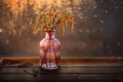 Весенние мотивы