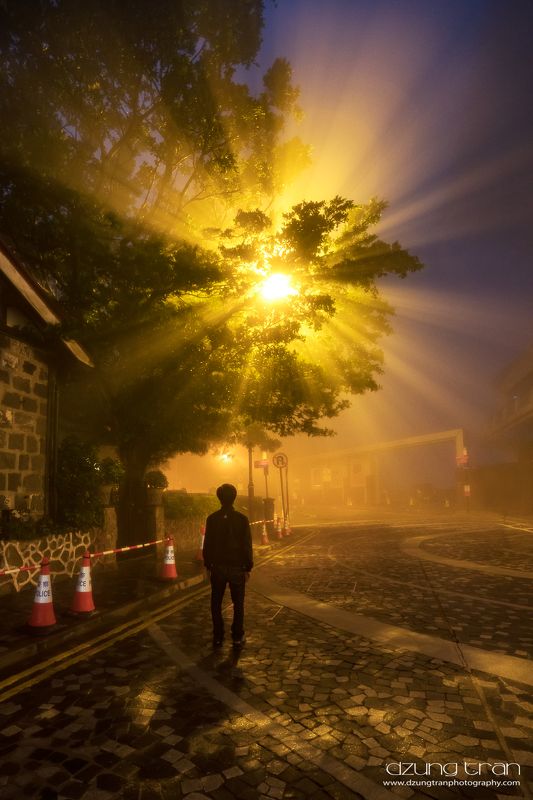 Rays фото превью