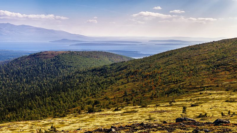 горы,озеро,острова,лес,лето, Острова фото превью