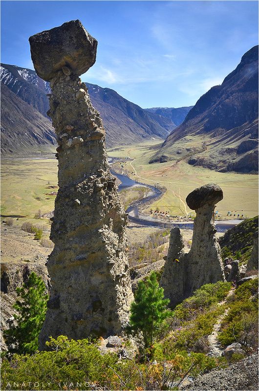 Каменные грибы долины Чулышмана фото превью