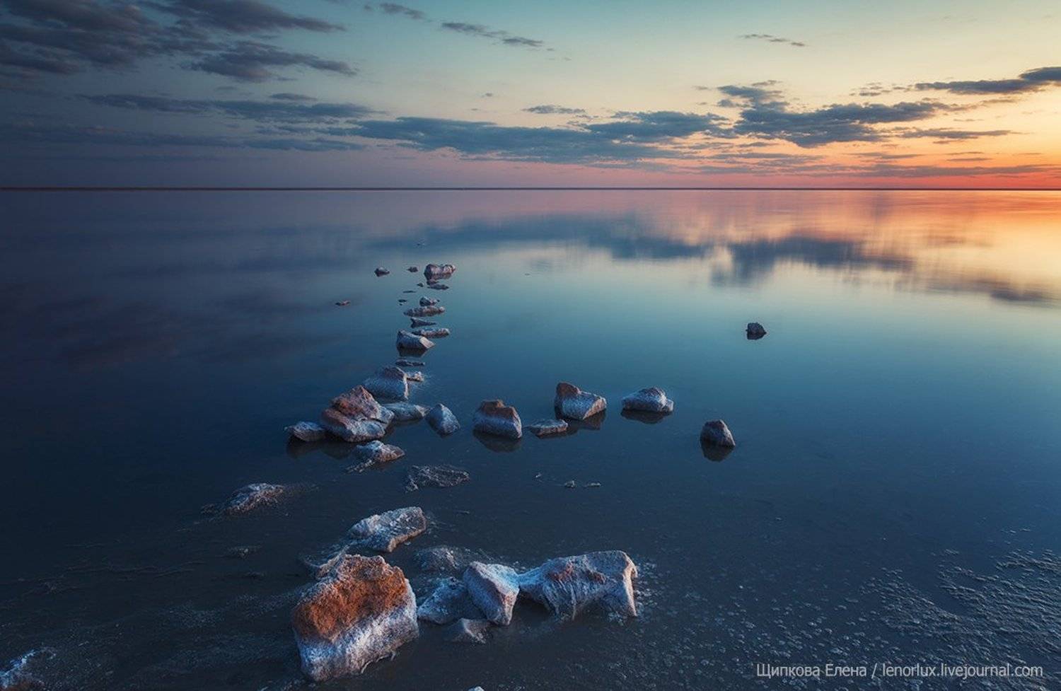 , Щипкова Елена