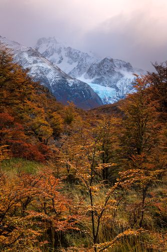 Glaciar Piedras Blancas. Los Glaciares National Park. El Chalten. Argentina