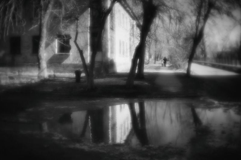 сны старого города фото превью