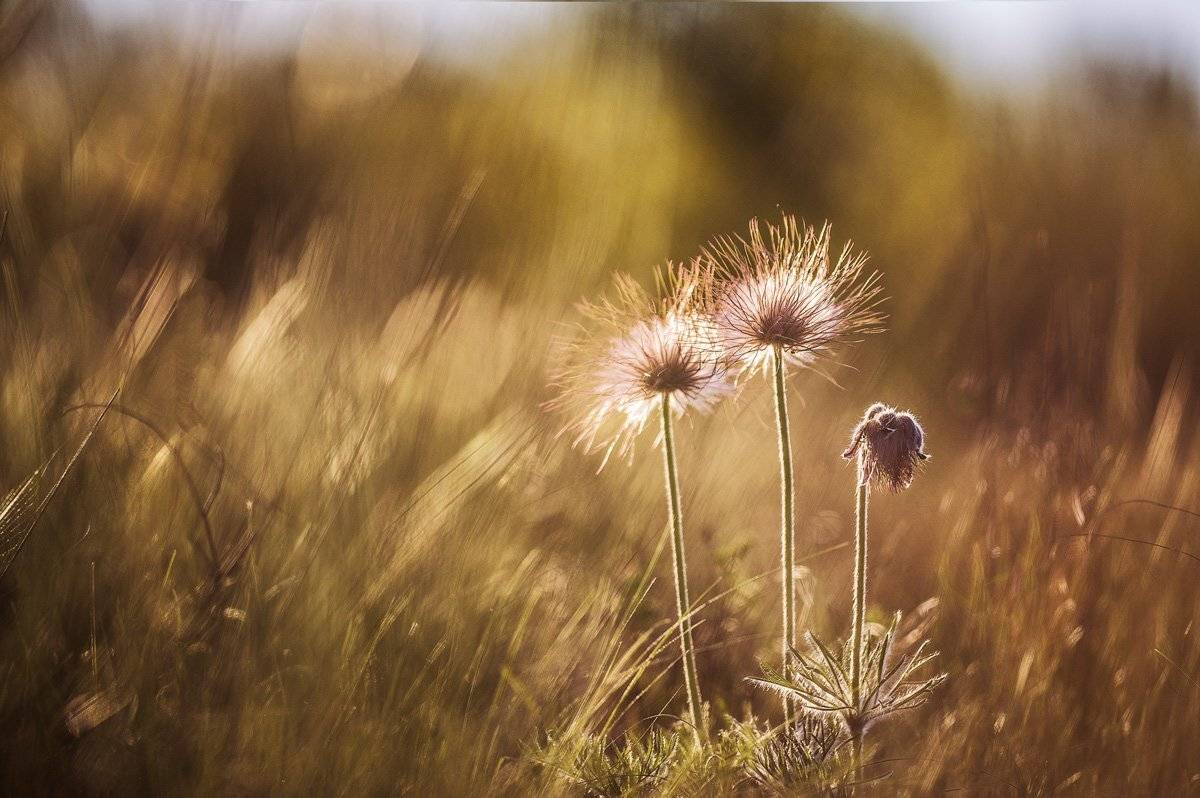 , Татьяна Аверина