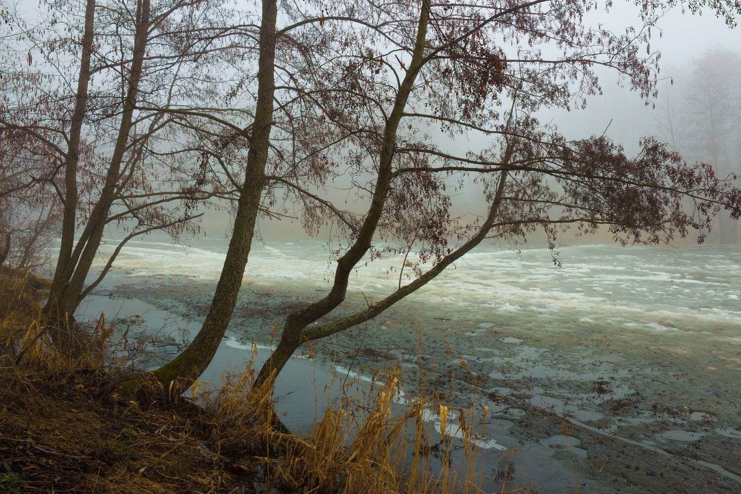 , Руслан Востриков