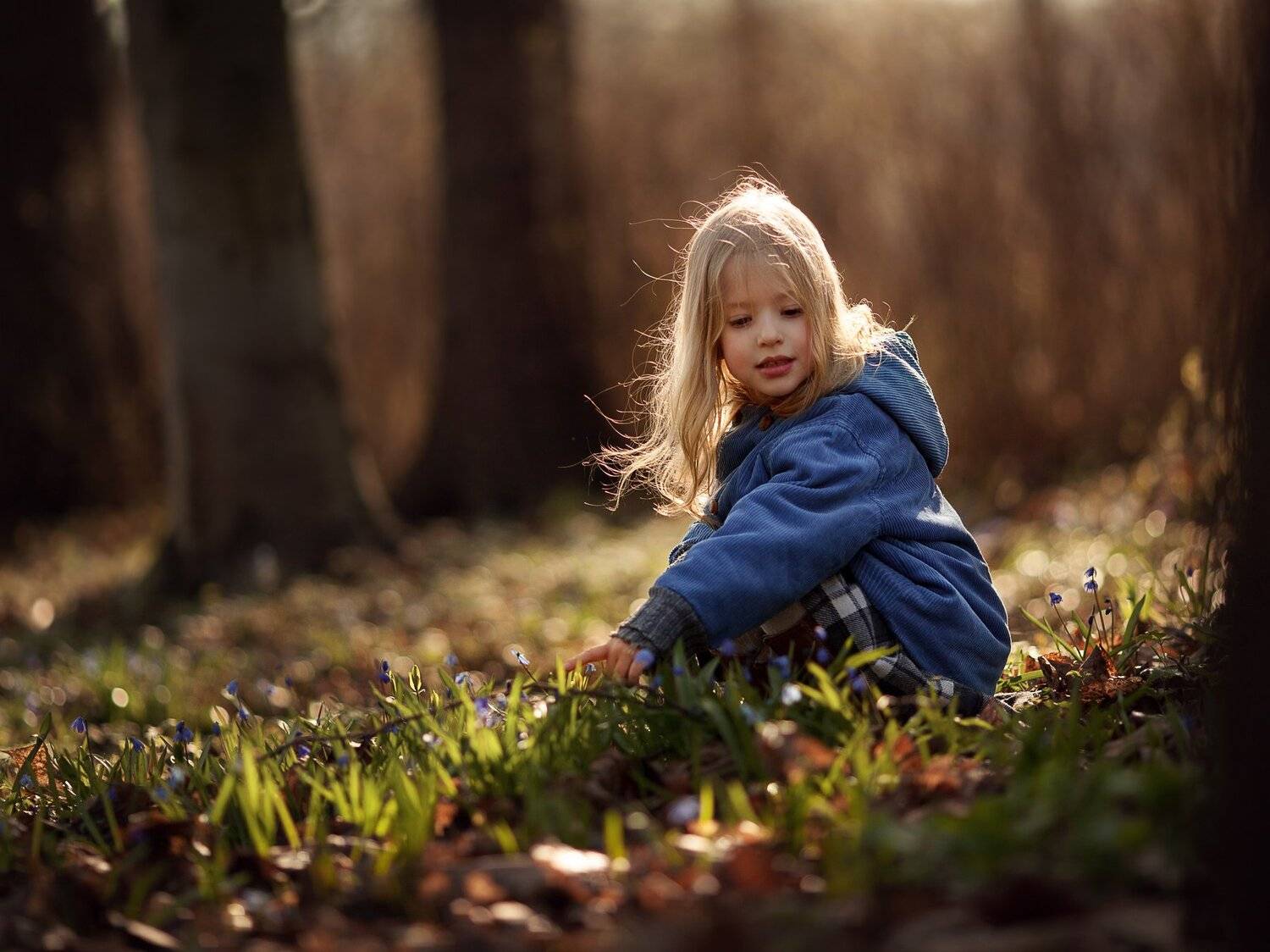 , Елена Силина