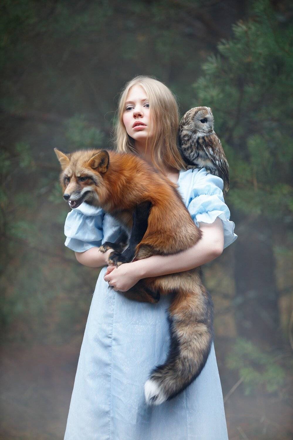 дремучий лес лиса сова девушка, Светлана Никотина