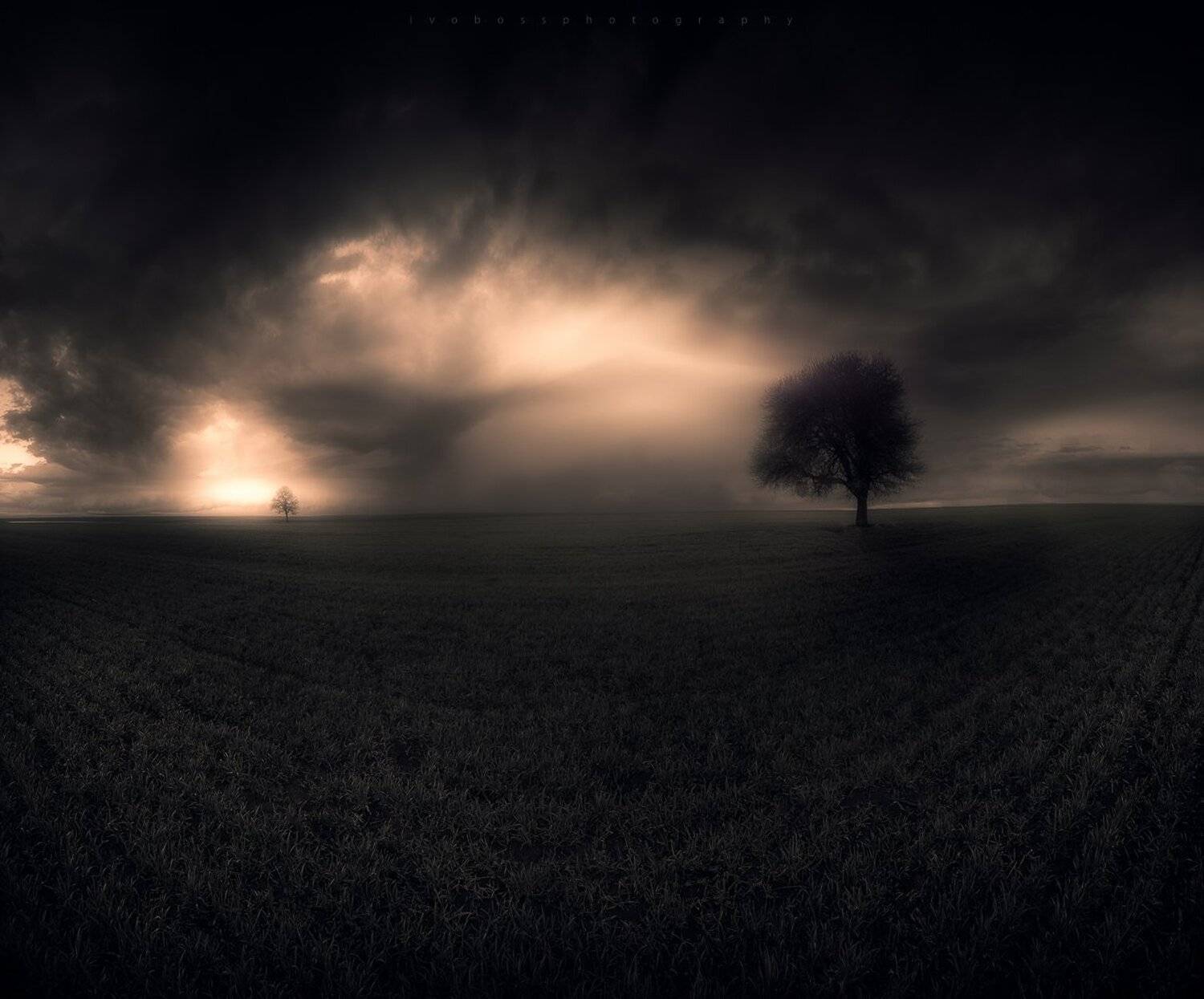 , Ivailo Bosev