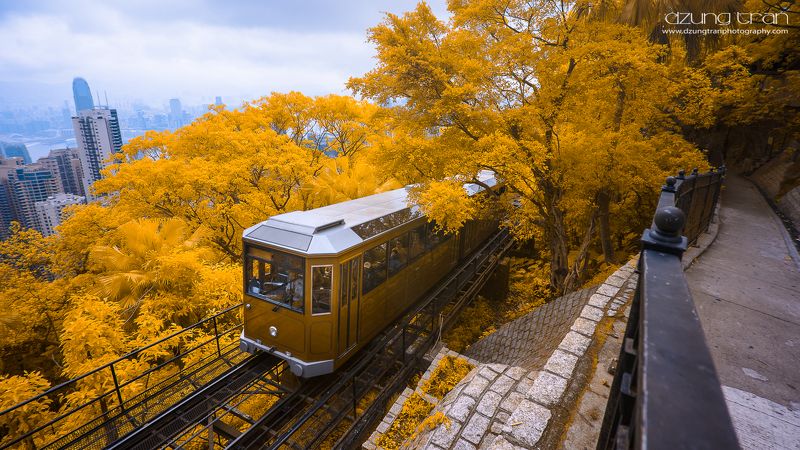 Train фото превью